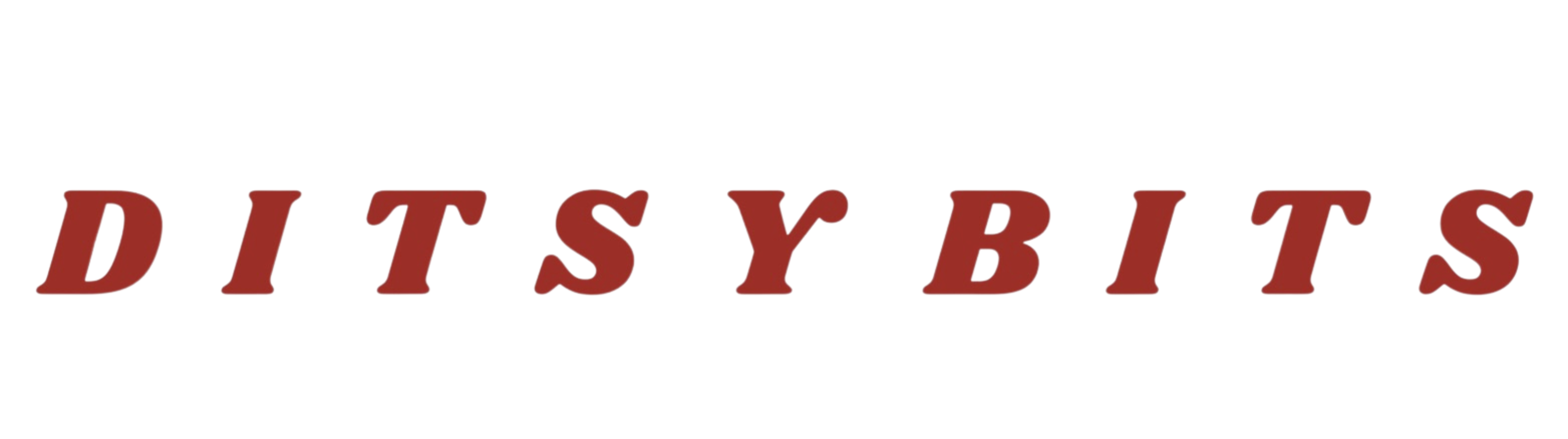 DITSY BITS LIMITED
